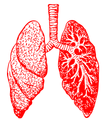 كيفية تشخيص التهاب الشعب الهوائية المزمن 